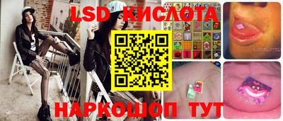 прущие грибы Донецк