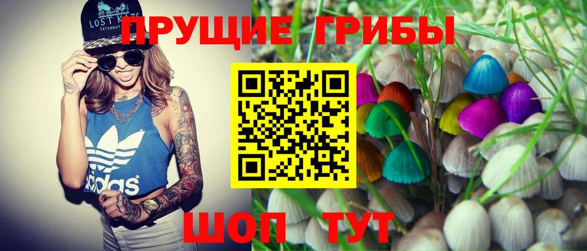 Псилоцибиновые грибы MAGIC MUSHROOMS Мурманск